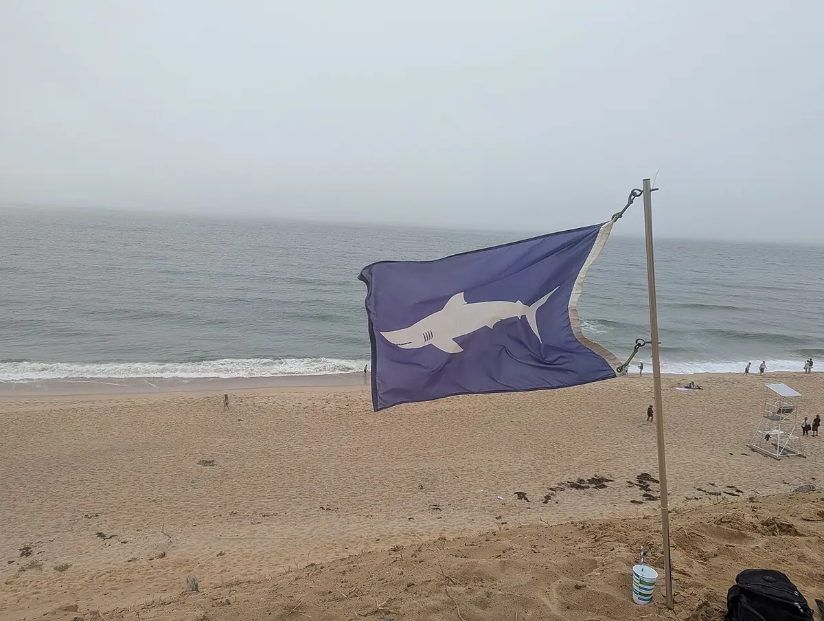 Shark warning sign at Cahoon Hollow Beach, Wellfleet