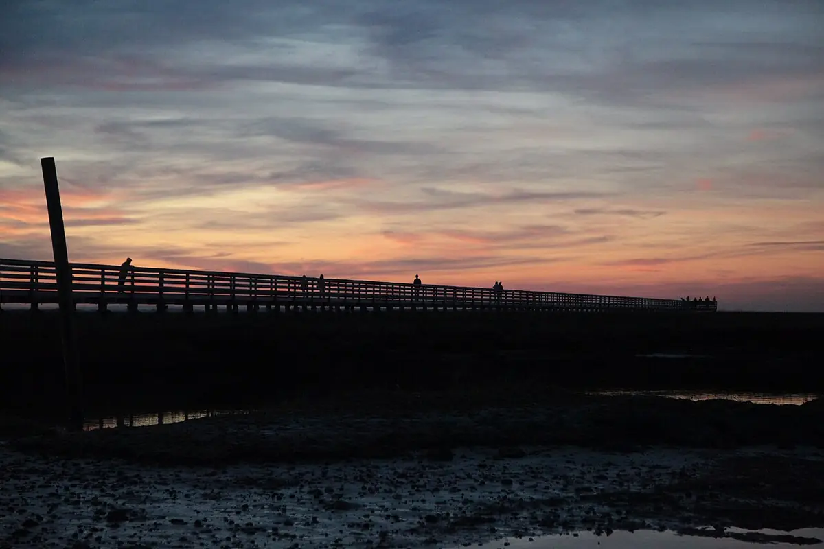 Bass Hole boardwalk over the marsh at Grey's Beach, Yarmouth Port