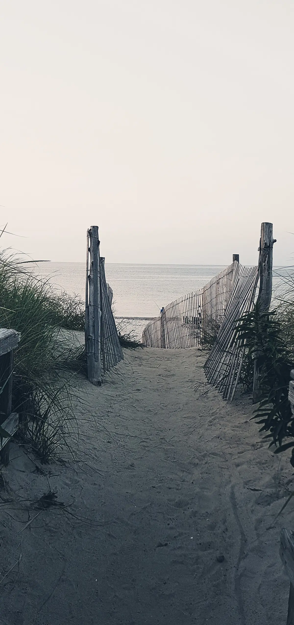Boardwalk entrance to Sandy Neck Beach in Barnstable