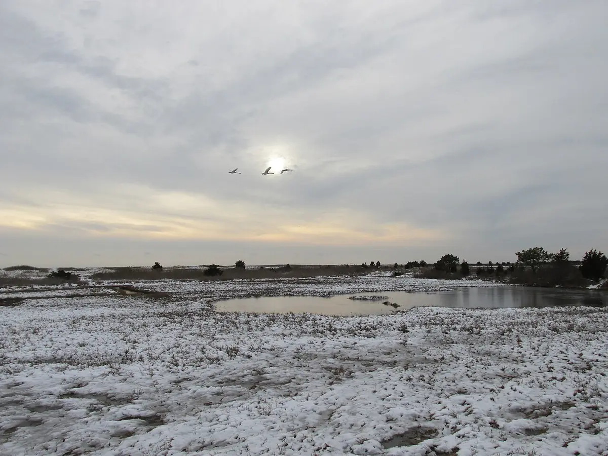 Dunes and shoreline at South Cape Beach State Park, Mashpee